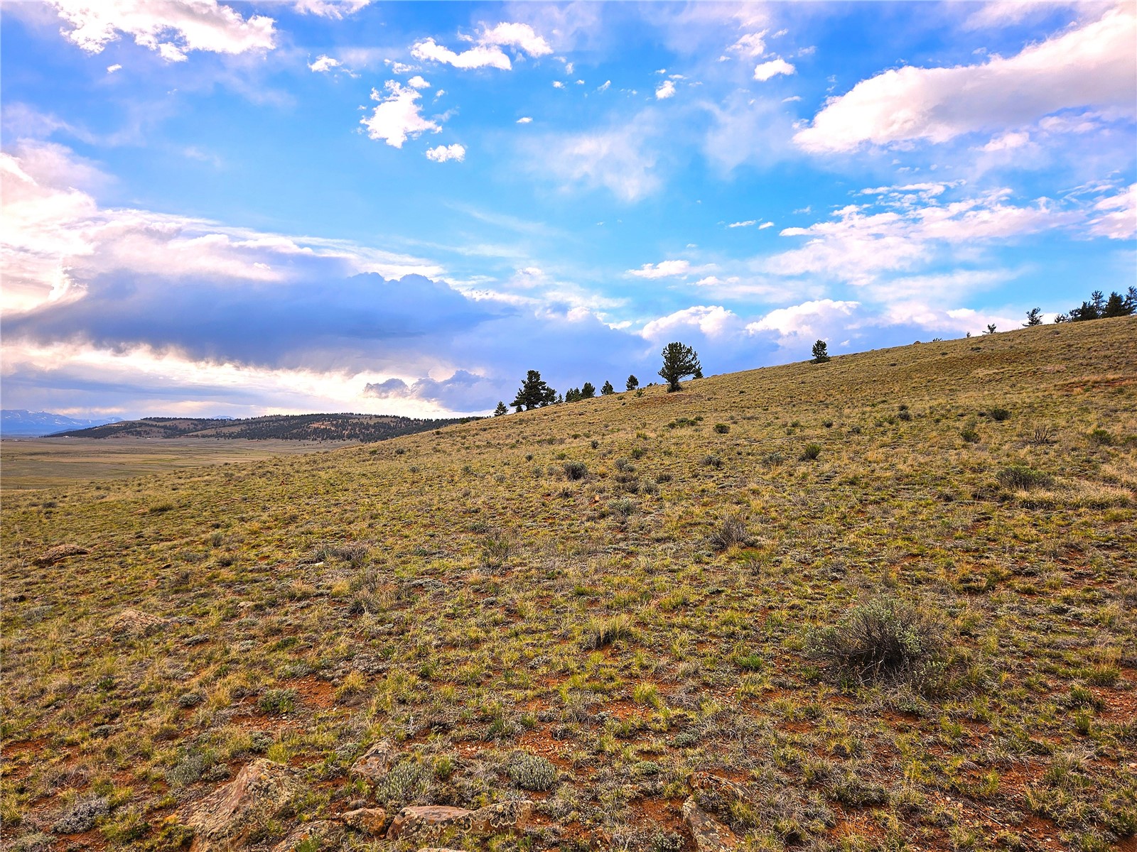 Pcs#25251 Fernando Trail Hartsel, CO 80449 - Photo 21 of 29