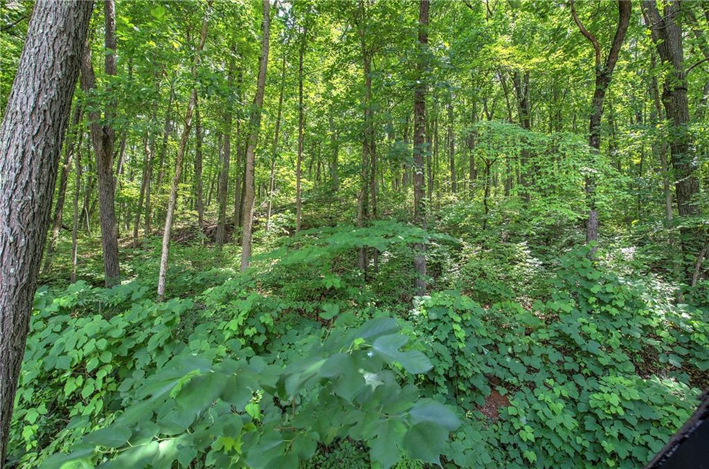 331 Salacoa Road Southeast Fairmount, GA 30139 - Photo 71 of 87