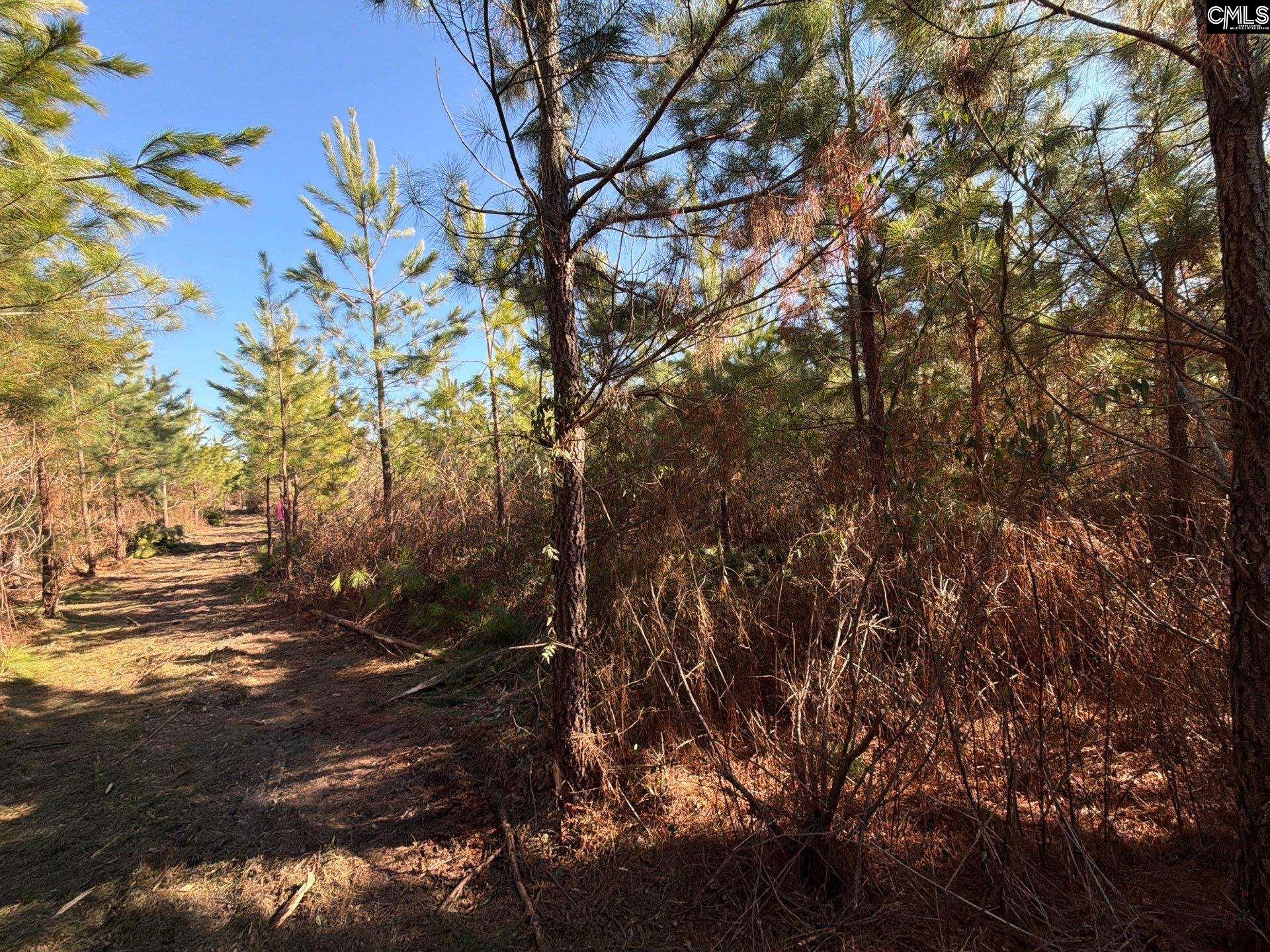 8 Brunson Teal Road, Unit BFF II 8 Patrick, SC 29584 - Photo 17 of 25
