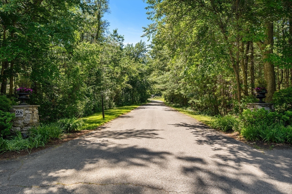 36 Cutler Farm Road Sudbury, MA 01776 - Photo 5 of 41