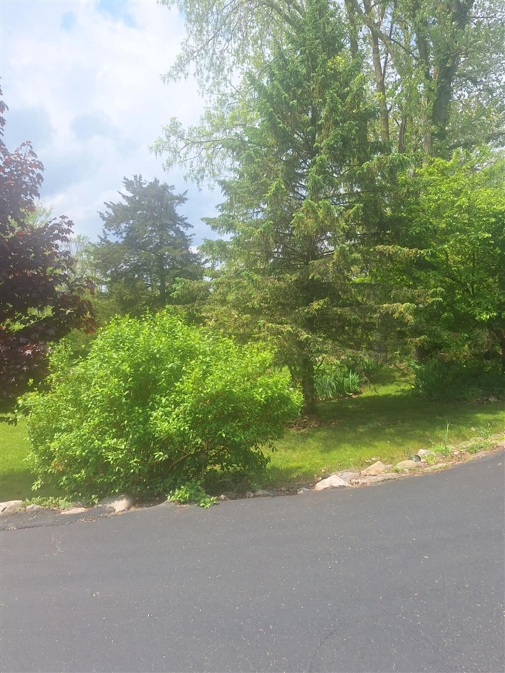 5211 Long Lake Road Reading, MI 49274 - Photo 98 of 99