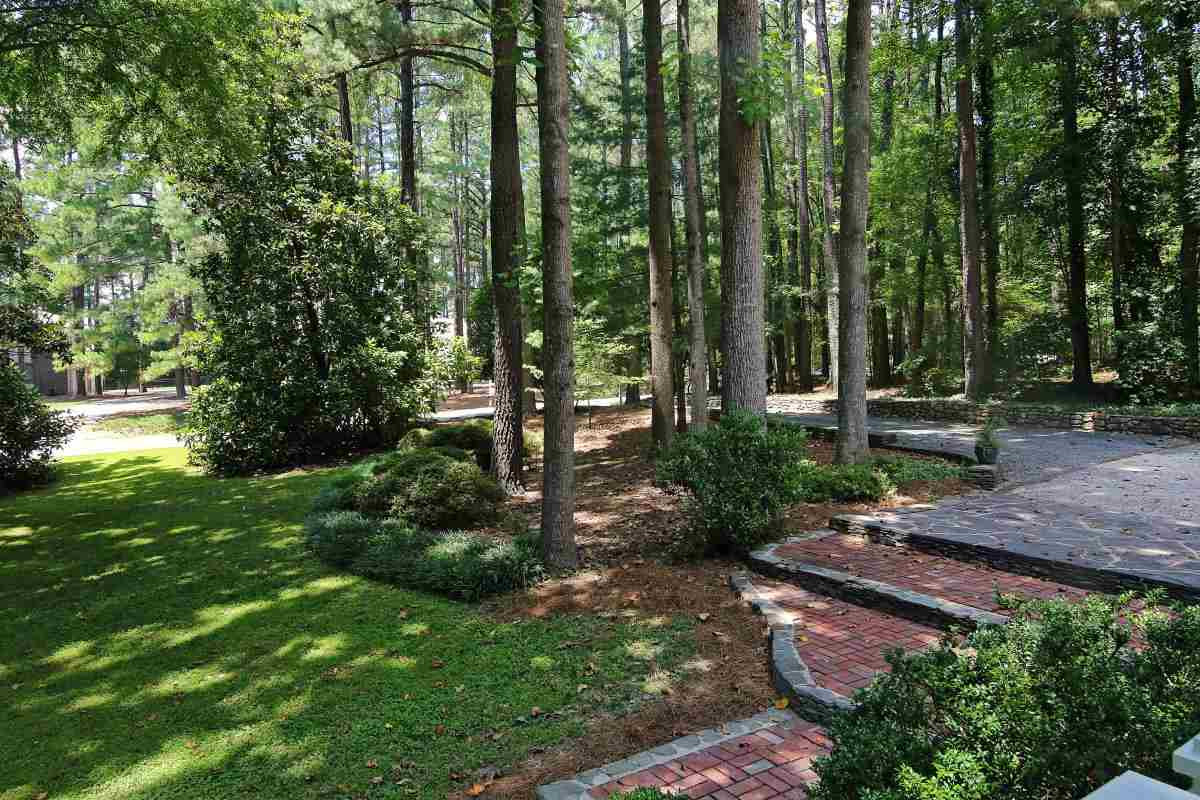 10004 Sycamore Road Raleigh, NC 27613 - Photo 23 of 25 Front Yard