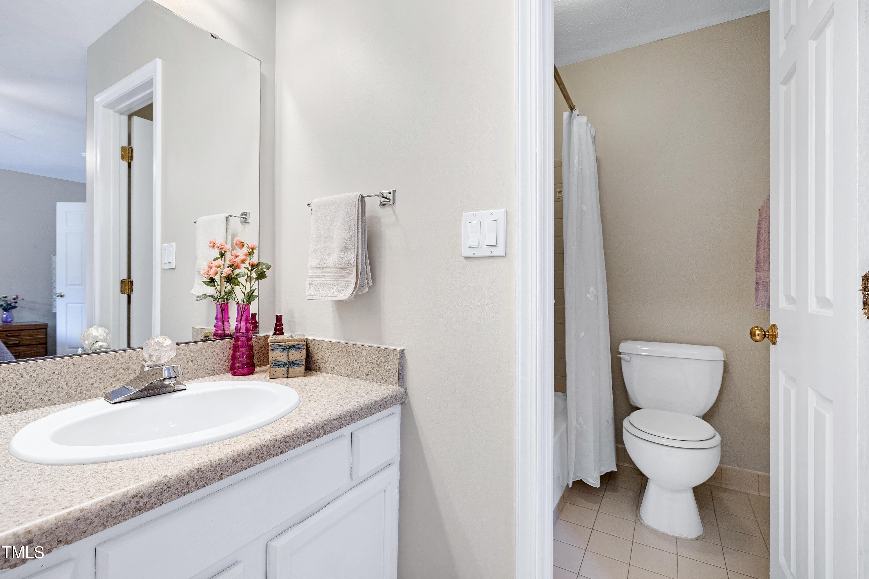 202 Oak Hollow Court Raleigh, NC 27613 - Photo 31 of 44 a bathroom with a sink toilet and a mirror