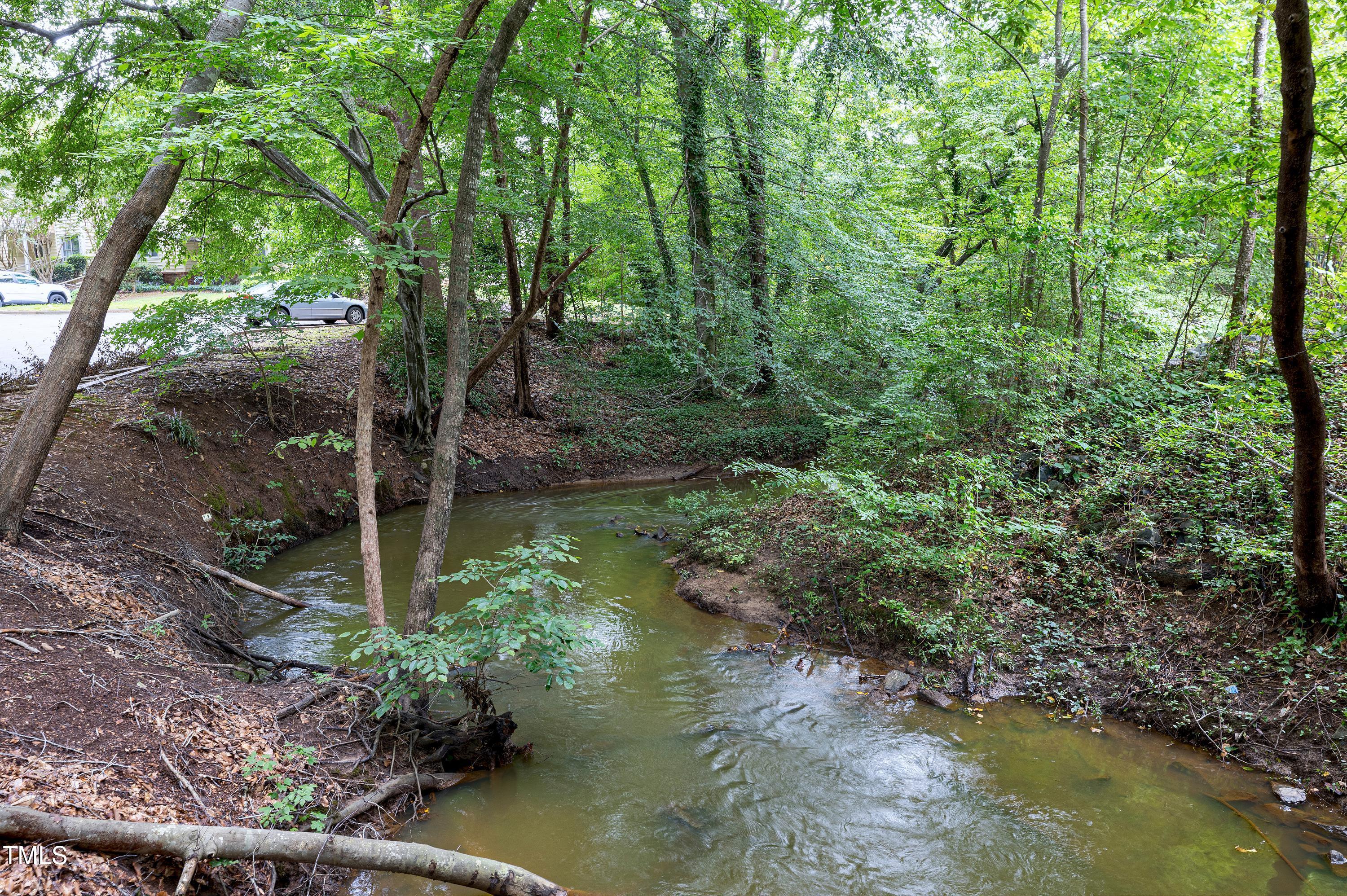 202 Oak Hollow Court Raleigh, NC 27613 - Photo 42 of 44 a view of a lake with large trees