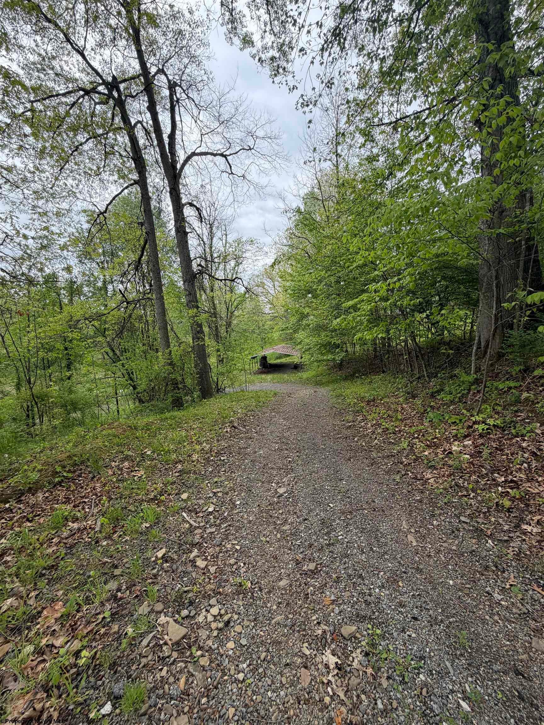 3112 Back Road Beverly, WV 26253 - Photo 43 of 46 Gallery Image 43