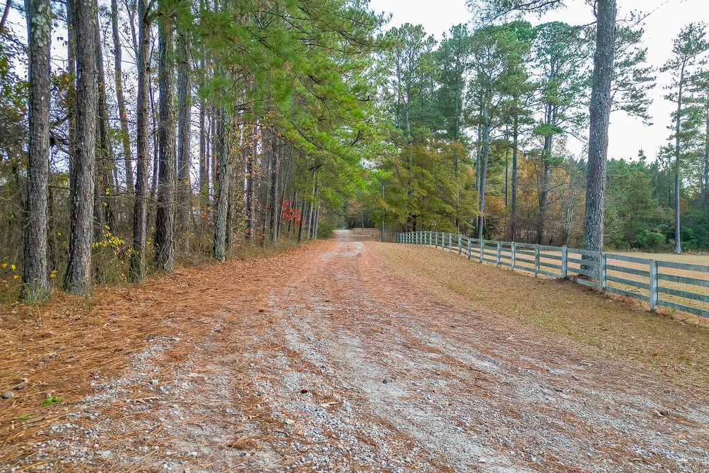 525 Cooper Road Loganville, GA 30052 - Photo 8 of 15 a view of outdoor space with deck and trees