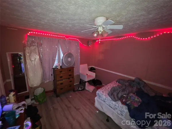 a view of a forest with trees