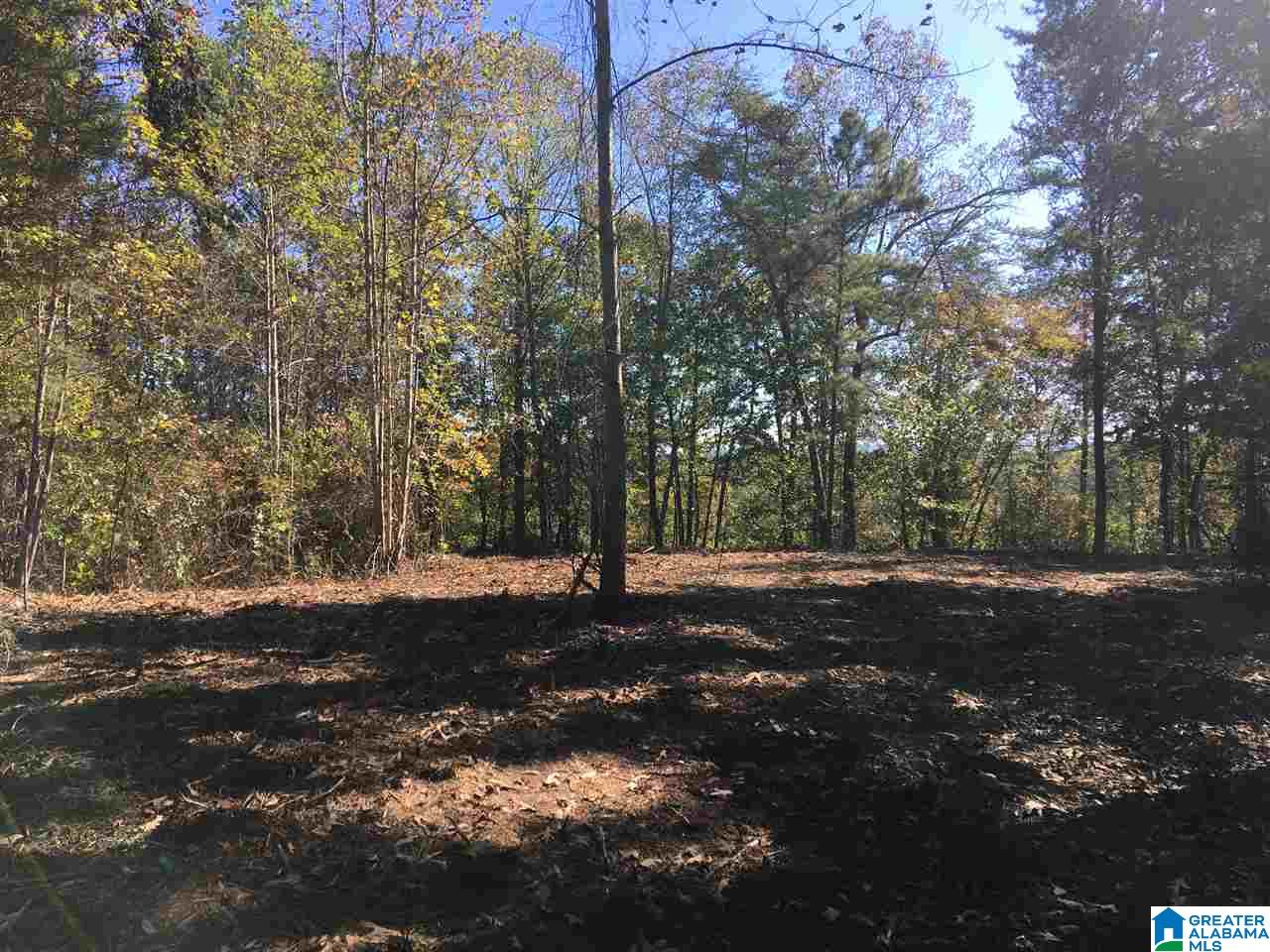 9150 Sunview Road, Unit 12 Warrior, AL 35180 - Photo 5 of 6