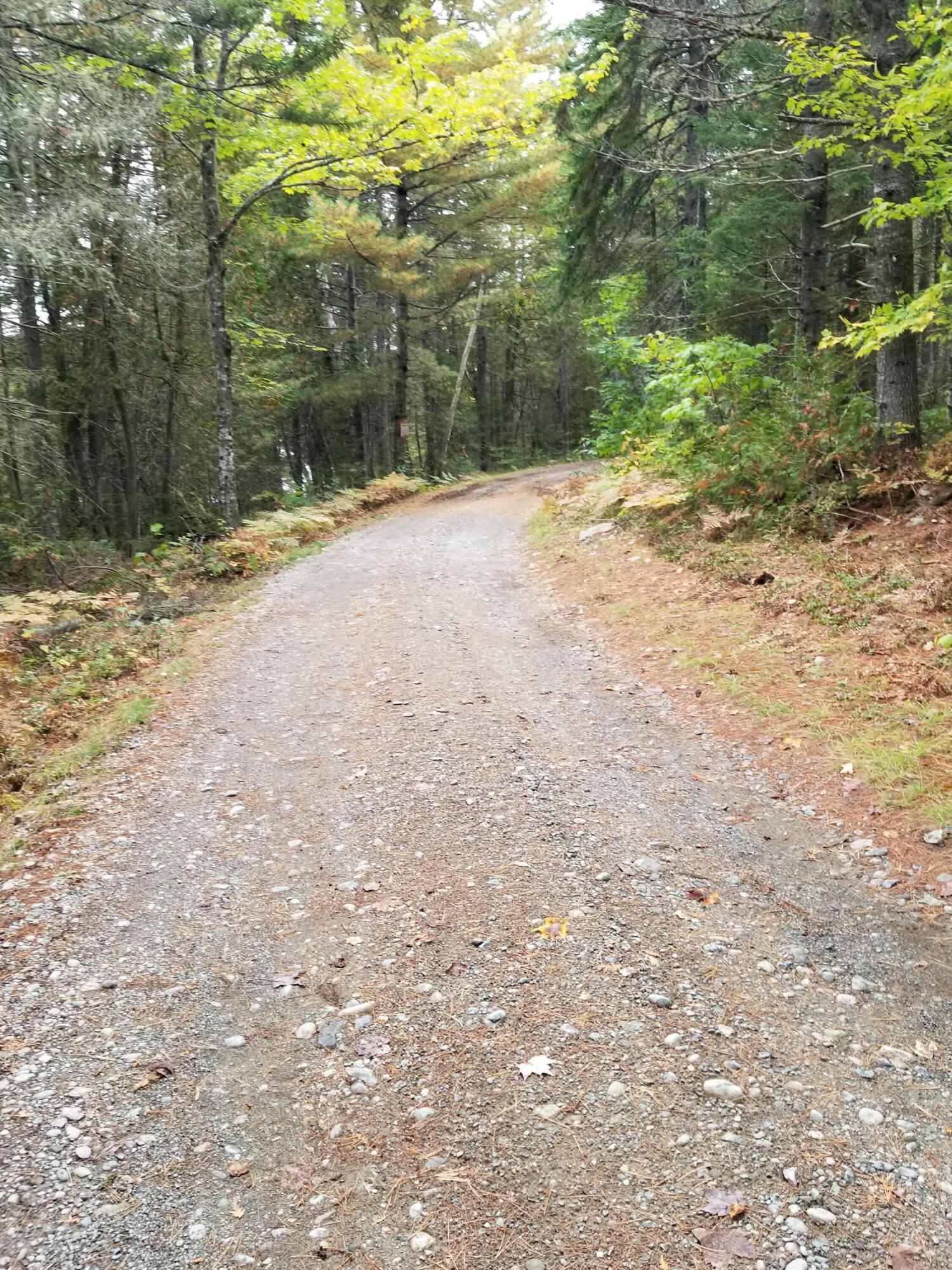 Tbd Eagle Trail Road New Portland, ME 04961 - Photo 11 of 11 Camp road