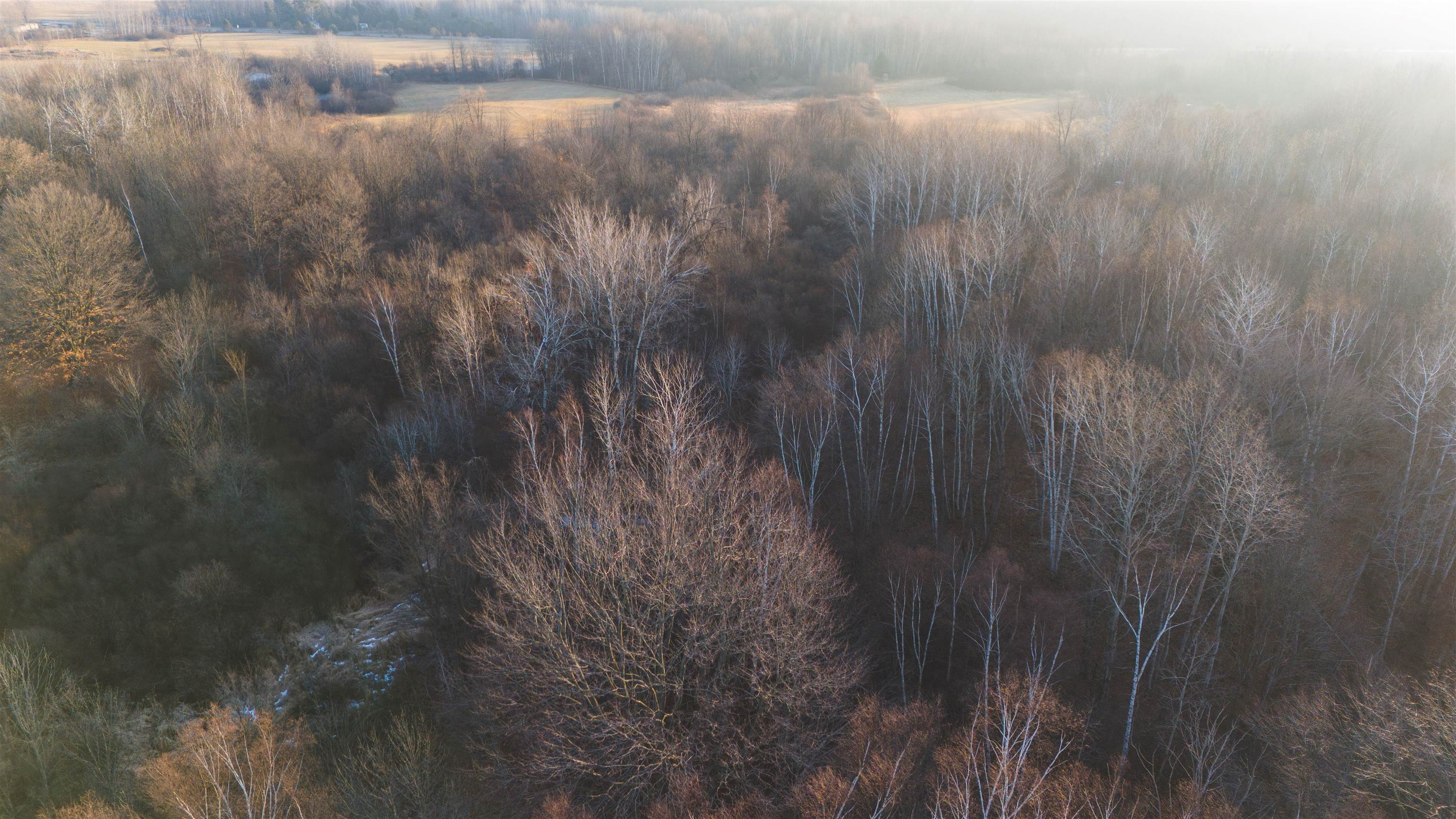 Four 4 Mile Road Evart, MI 49631 - Photo 36 of 38