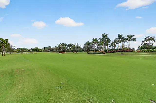 a view of a tennis ground with large trees