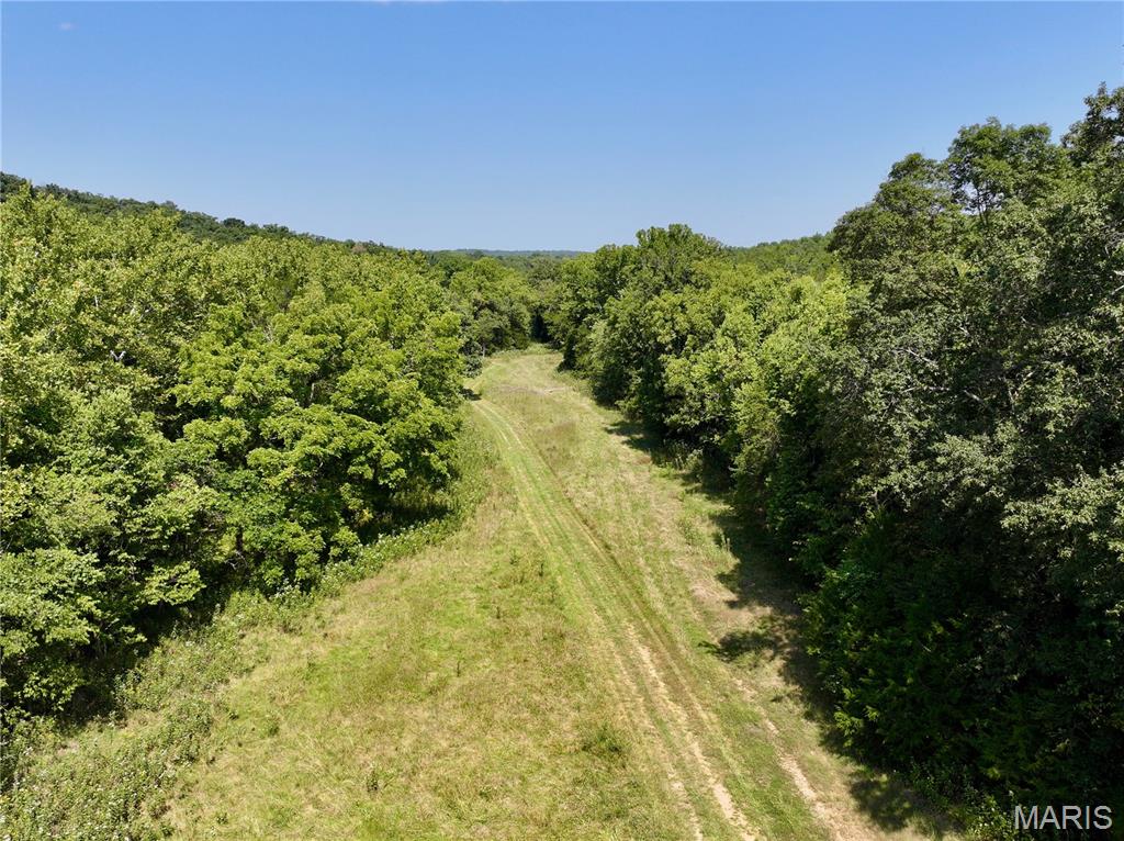 1921 Tanglefoot Farms Road Festus, MO 63028 - Photo 8 of 12 Gallery Image 8