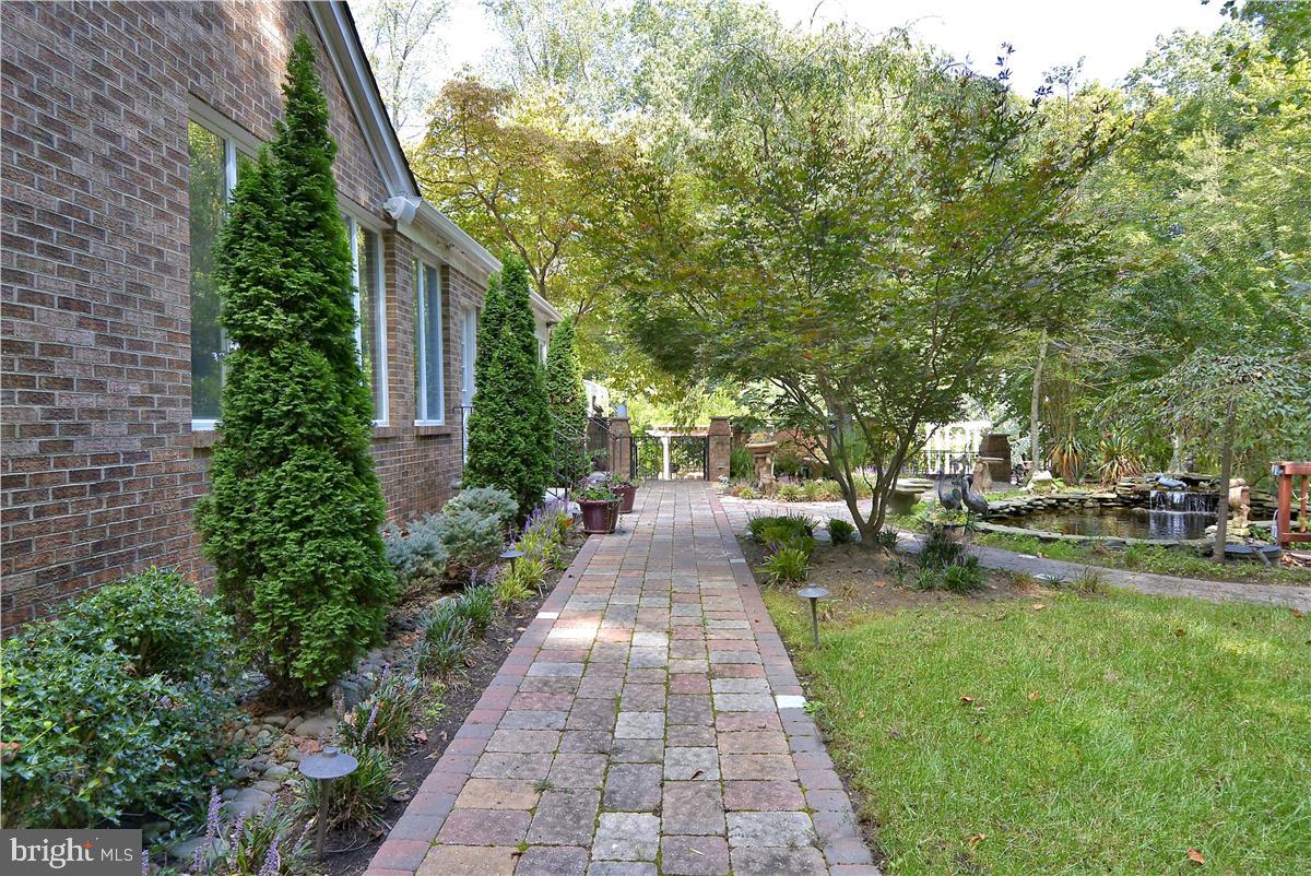 738 Intrepid Way Davidsonville, MD 21035 - Photo 11 of 71 a view of a yard with plants and trees