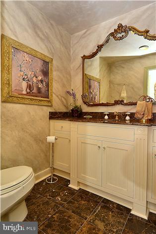 738 Intrepid Way Davidsonville, MD 21035 - Photo 8 of 71 a bathroom with a sink a toilet and mirror