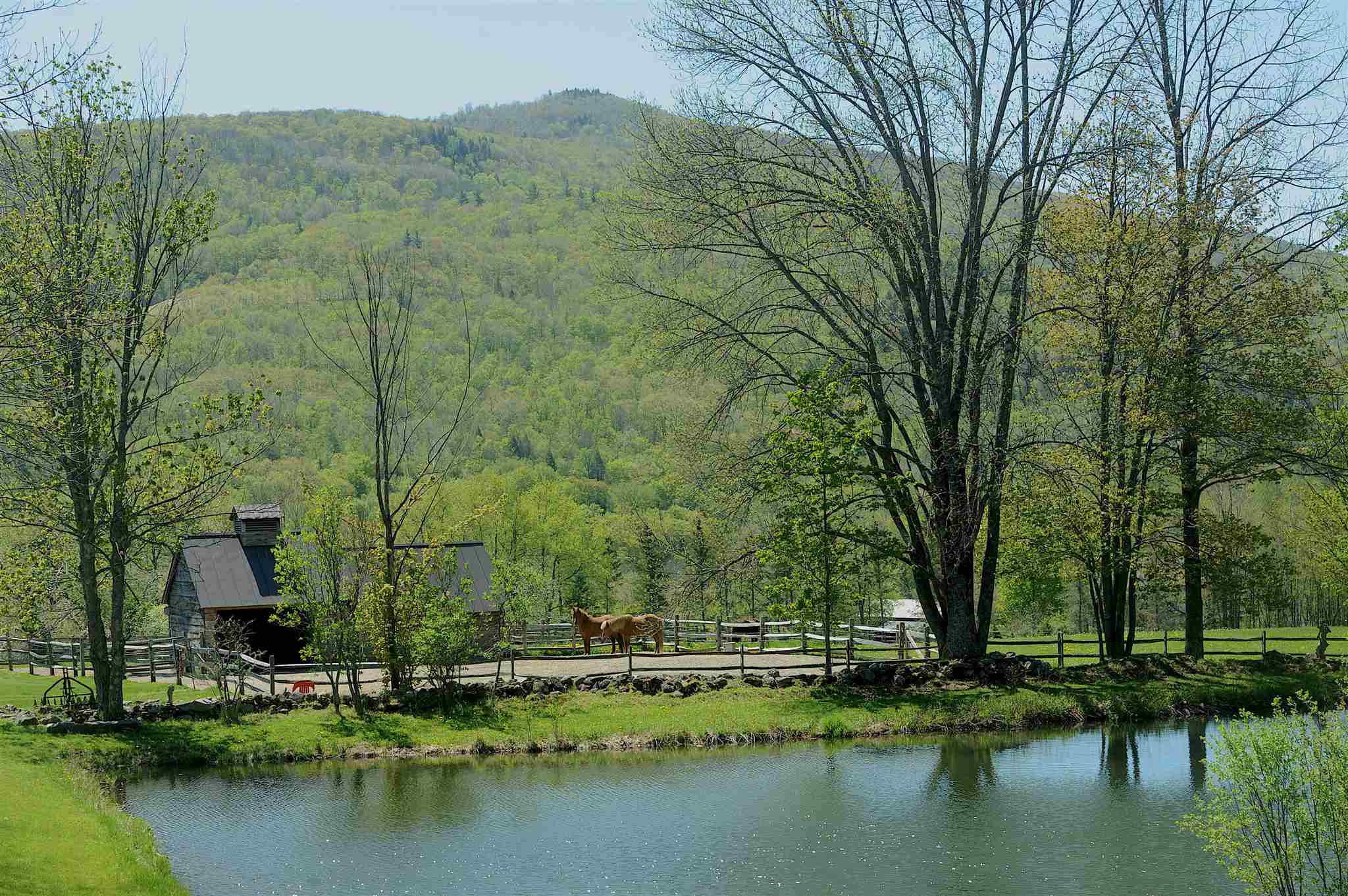 217 Echo Ledge Road Woodstock, VT 05091 - Photo 20 of 37 Gallery Image 20