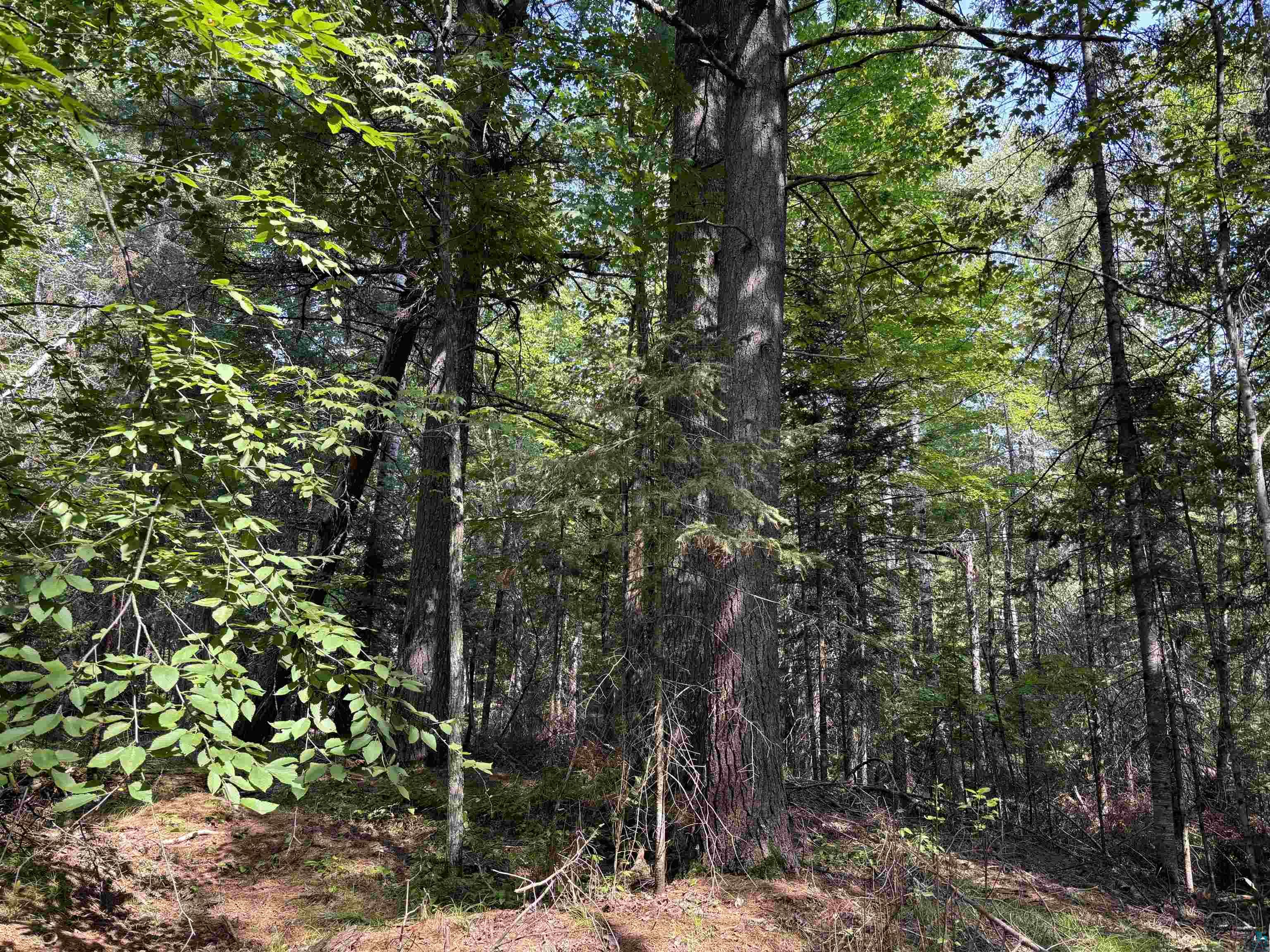 Xxx Otter River Road Duluth, MN 55803 - Photo 8 of 11