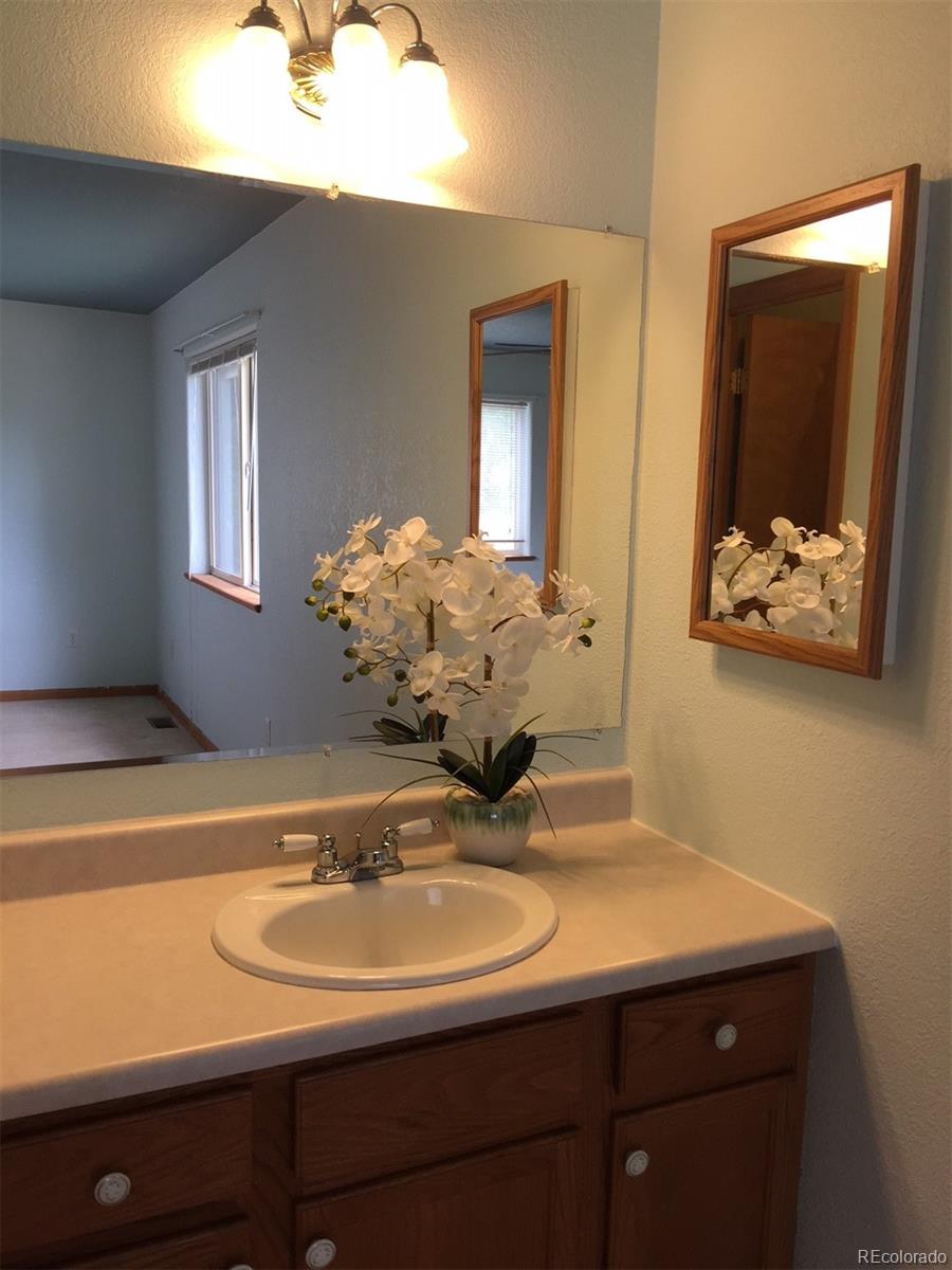 4 Pinon Road Bailey, CO 80421 - Photo 10 of 13 Gallery Image 10