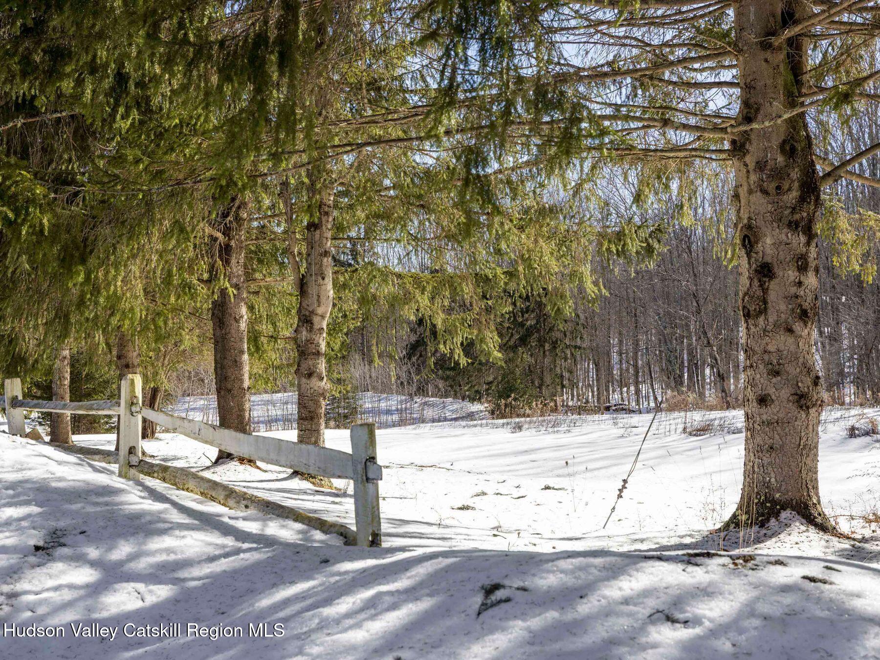 366 Terry Road Stamford, NY 12167 - Photo 41 of 50 photo_online_042