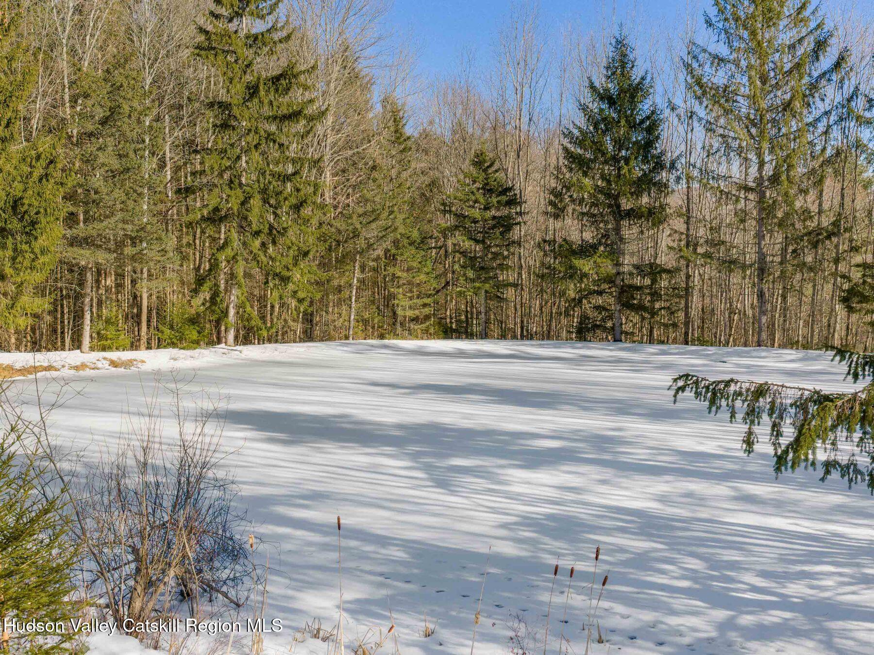 366 Terry Road Stamford, NY 12167 - Photo 45 of 50 photo_online_048