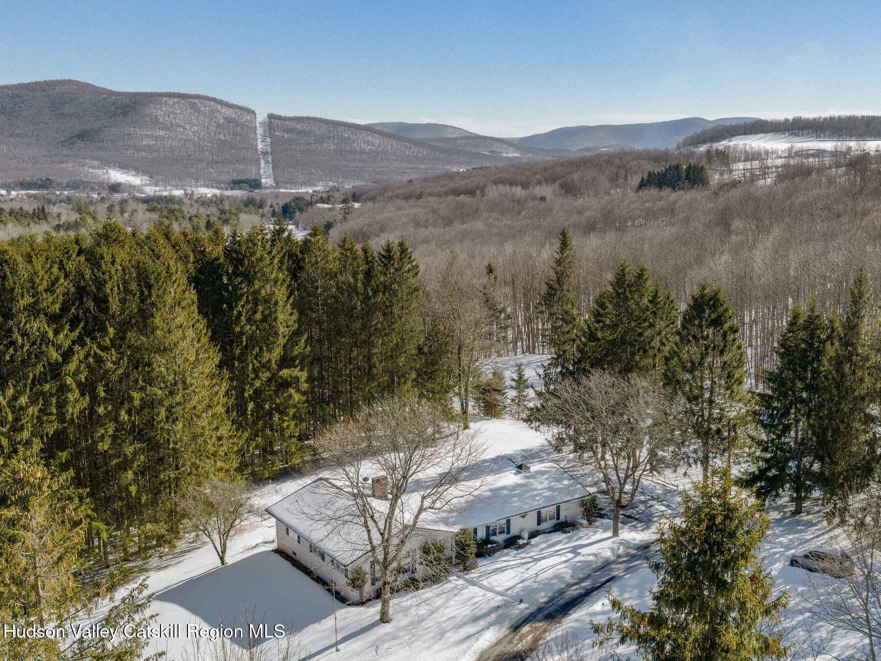 366 Terry Road Stamford, NY 12167 - Photo 46 of 50 photo_online_049