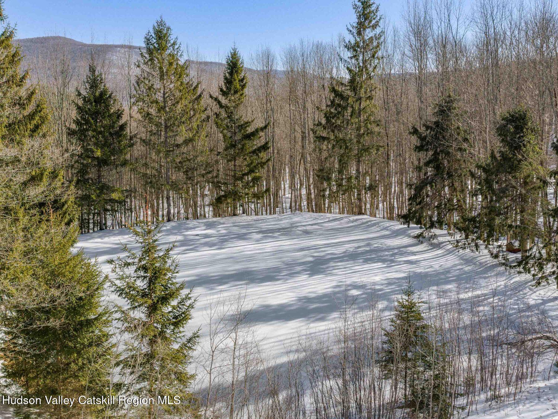 366 Terry Road Stamford, NY 12167 - Photo 49 of 50 photo_online_052