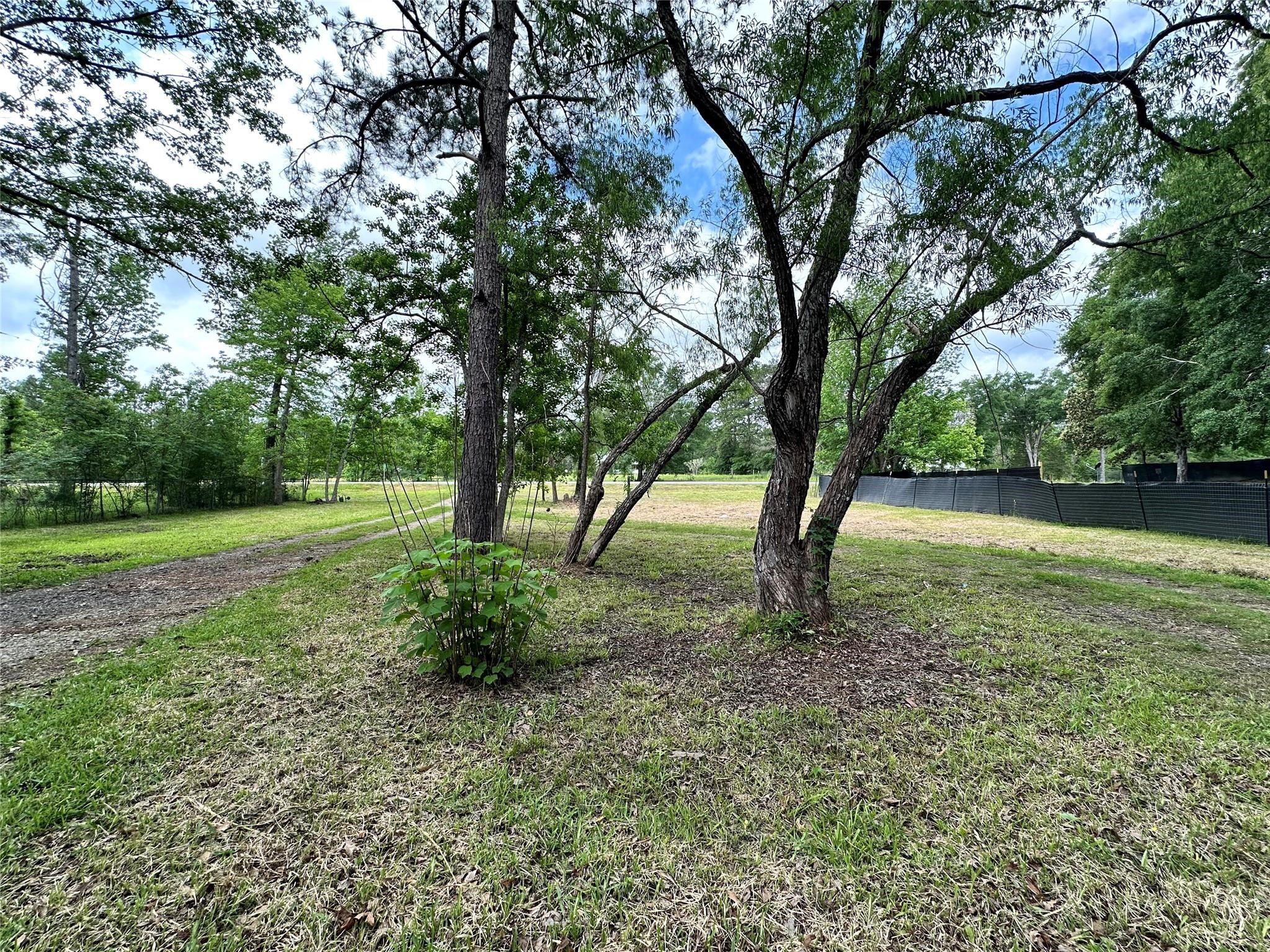 12462 Main Street Chester, TX 75936 - Photo 5 of 30