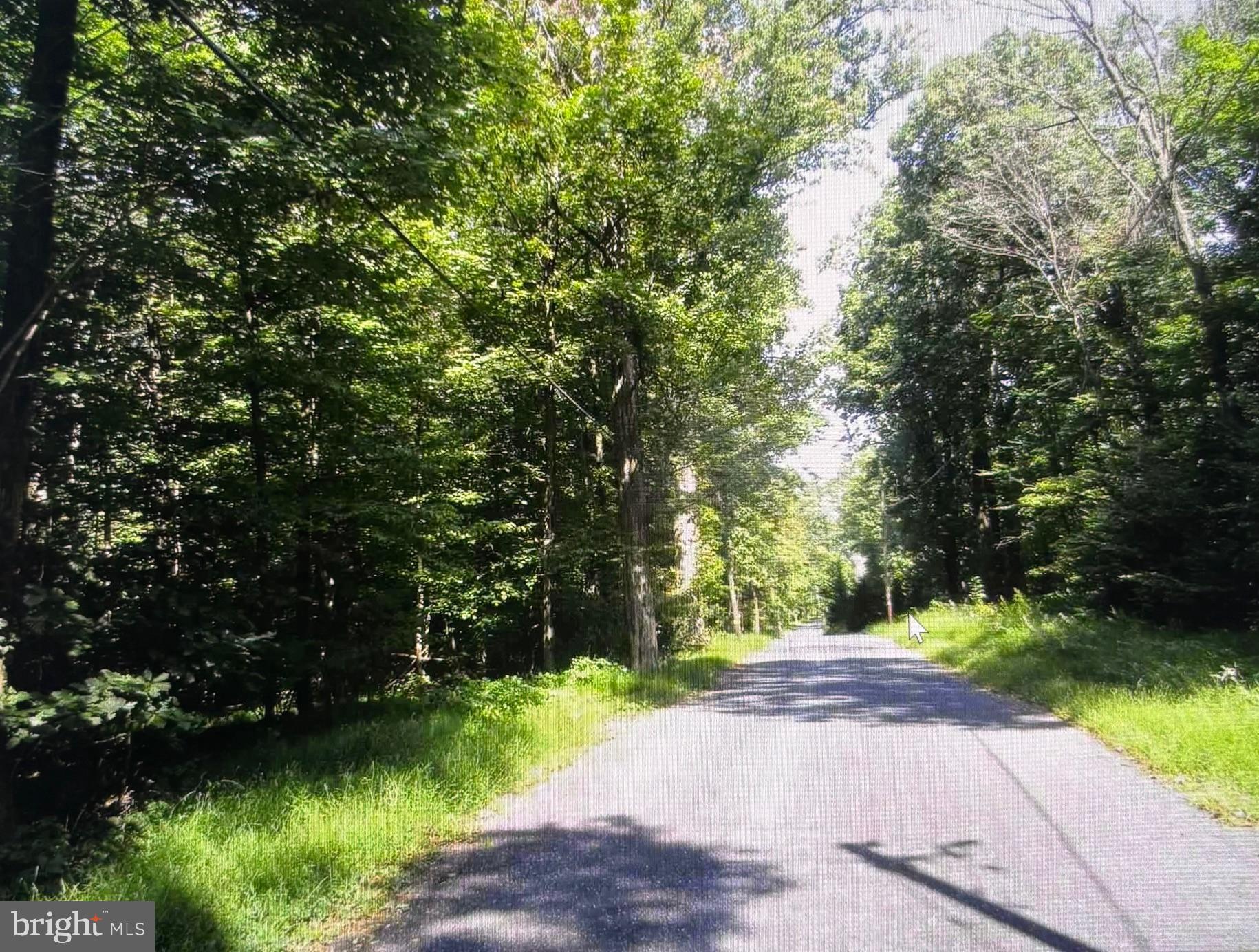 9 Tower Road Smithsburg, MD 21783 - Photo 2 of 7 a view of a yard with plants and large trees