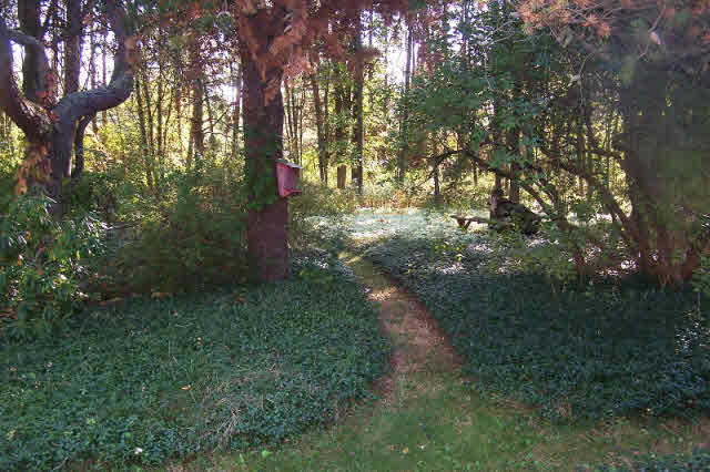 17160 Roosevelt Road Hemlock, MI 48626 - Photo 5 of 18 20103295-4.JPG