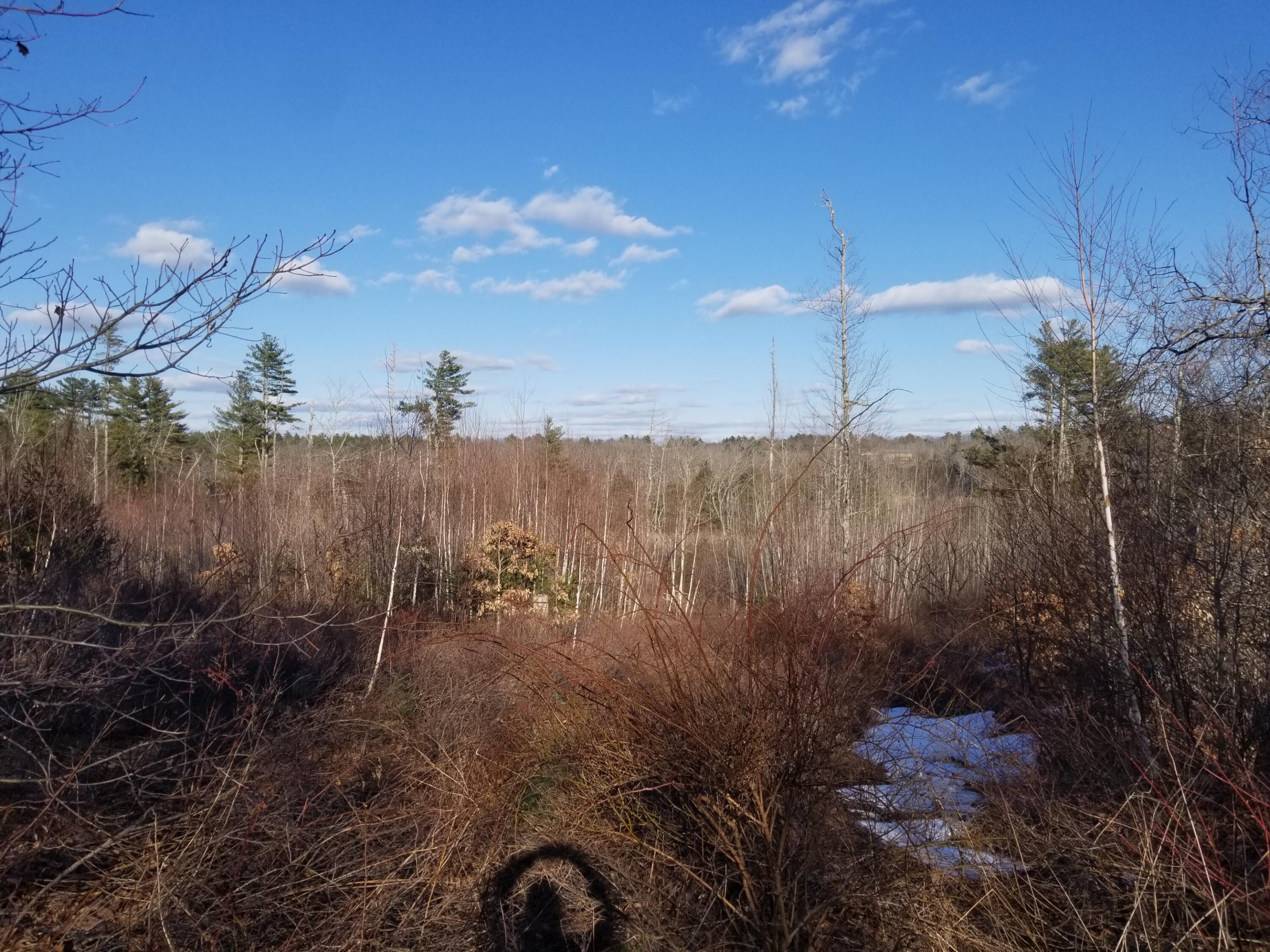 Lot 3 Middle Road Woolwich, ME 04579 - Photo 17 of 22 20230324_165315