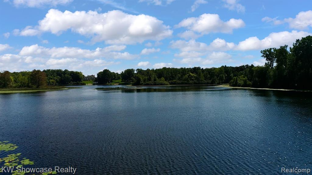 0 Cedar Lake Road Chelsea, MI 48118 - Photo 5 of 15