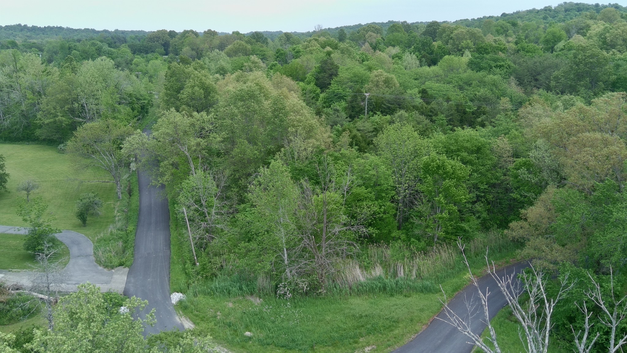 0 Lewistown Church Road Princeton, KY 42445 - Photo 3 of 4
