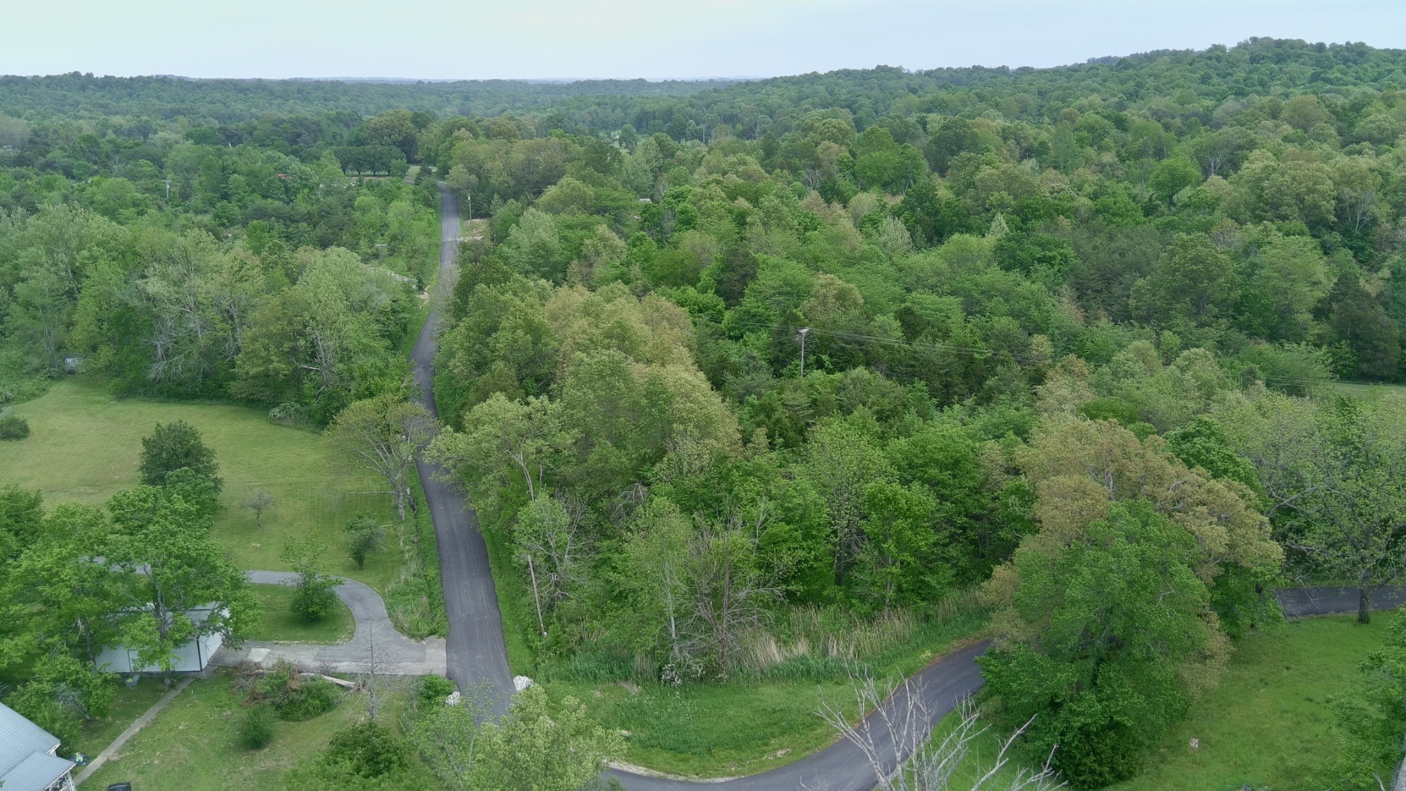 0 Lewistown Church Road Princeton, KY 42445 - Photo 4 of 4