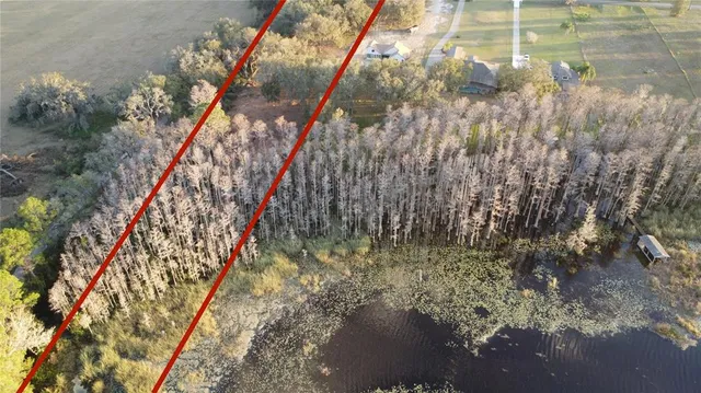 a view of a lake in middle of a city