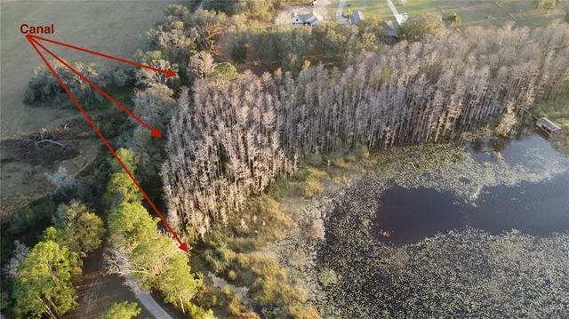 a view of a garden with a tree