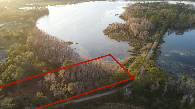 a view of a yard with yellow lighting