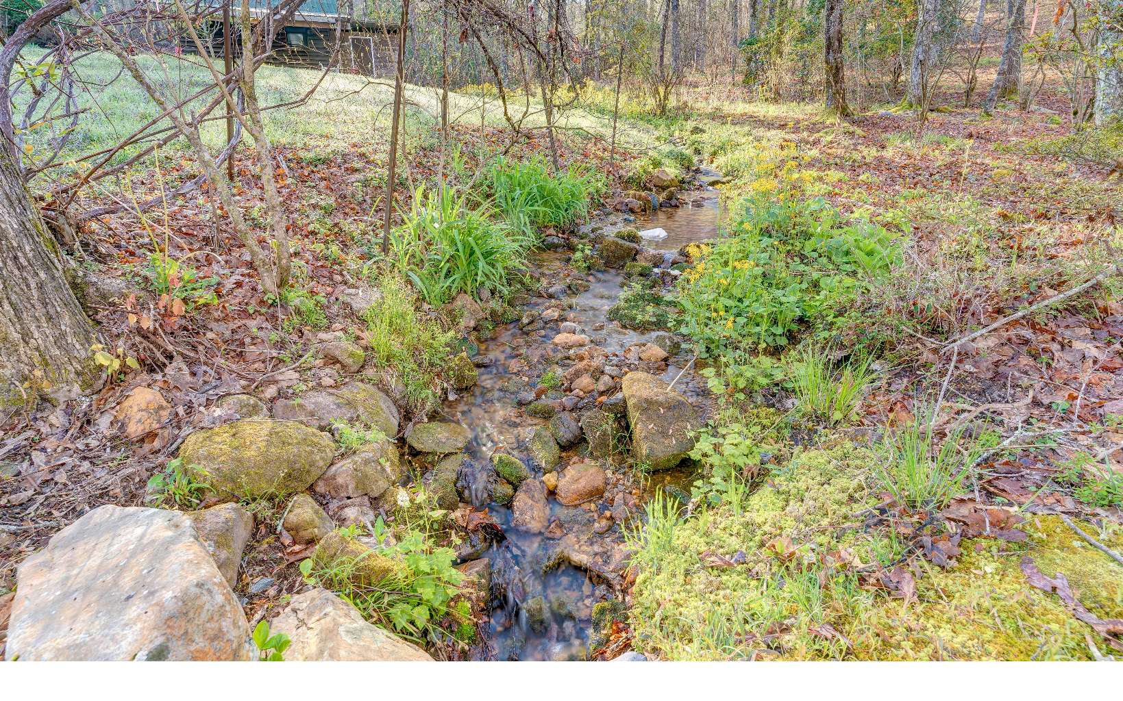 133 Jonquil Lane Blue Ridge, GA 30513 - Photo 2 of 4 Additional View
