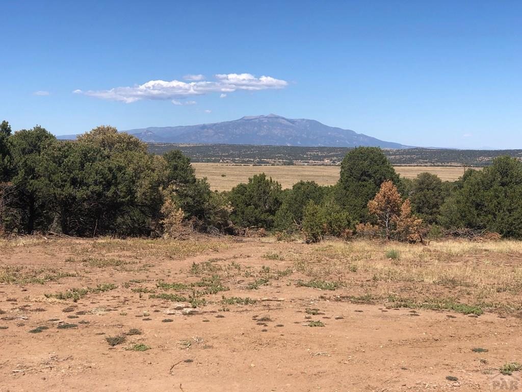 Lot 64 River Ridge Trail La Veta, CO 81055 - Photo 12 of 29