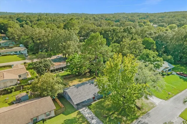 a view of a yard with plants and large trees