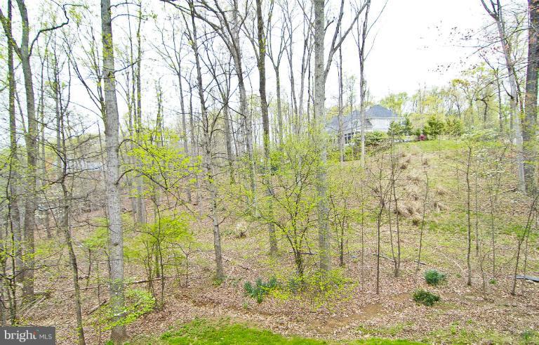 11004 South Glen Road Potomac, MD 20854 - Photo 3 of 24 Exterior (Rear)