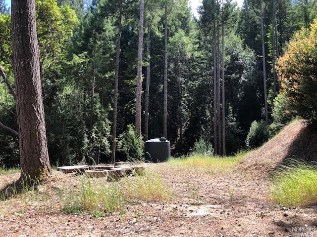 0 Brack Road Healdsburg, CA 95448 - Photo 1 of 1 a backyard of a house with lots of green space