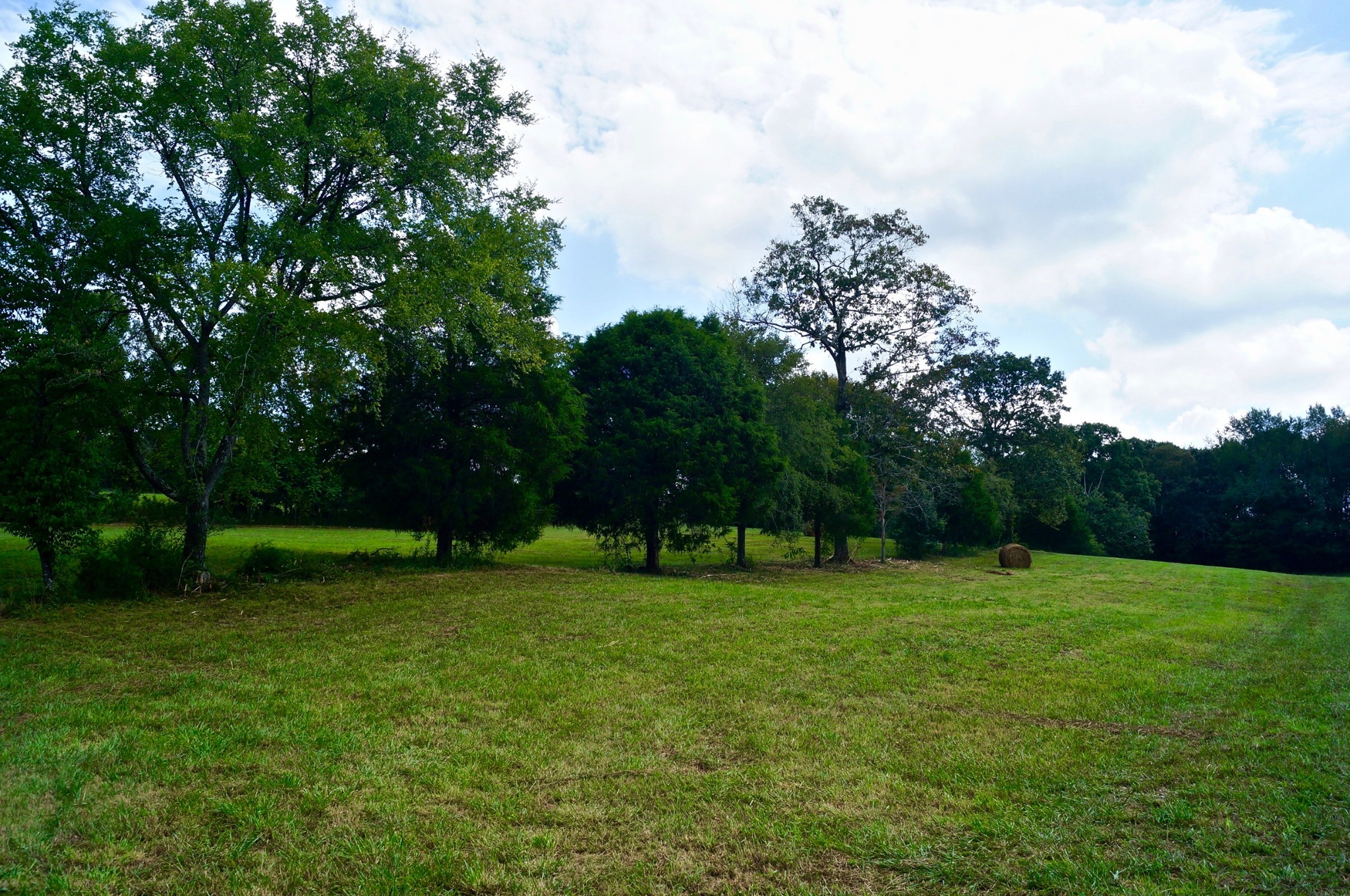 1234 Browntown Road Sparta, TN 38583 - Photo 20 of 30 Gallery Image 20