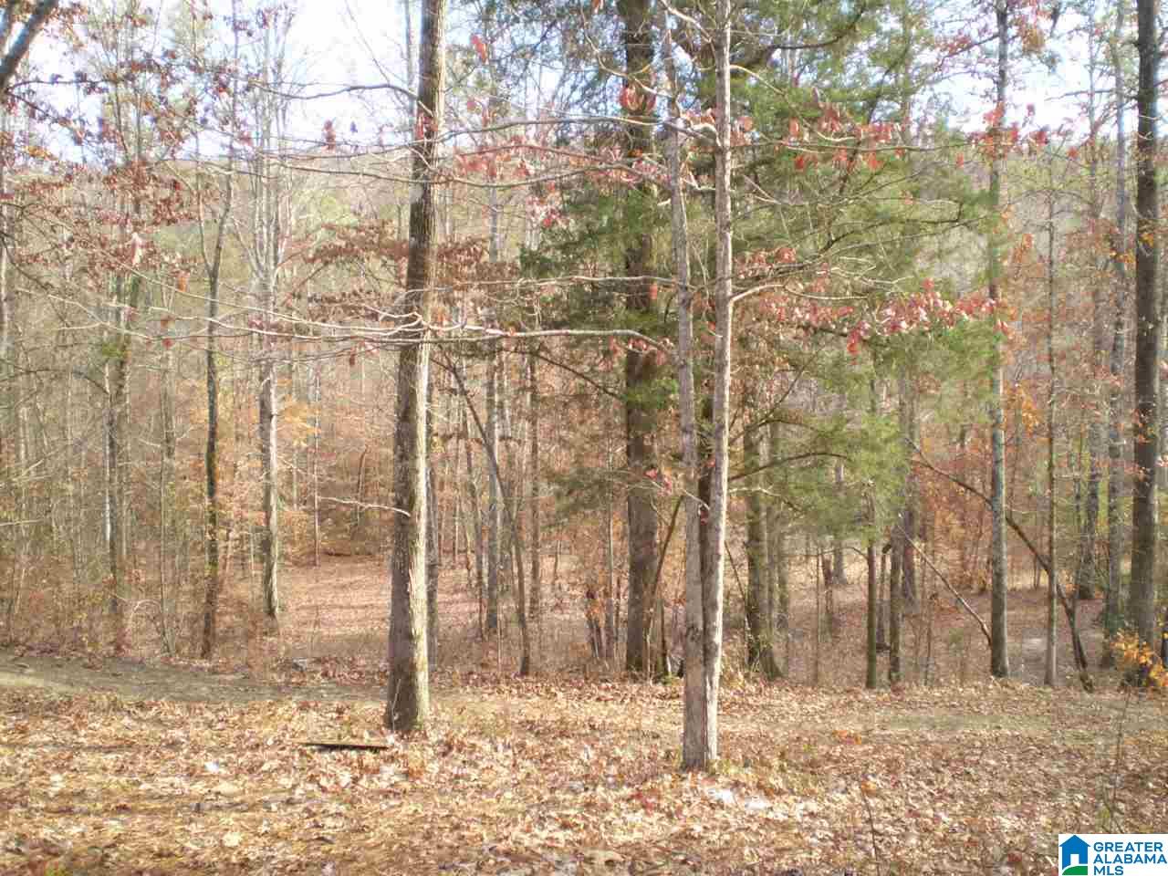 172 Waldrop Road, Unit 9 Ashville, AL 35953 - Photo 24 of 36