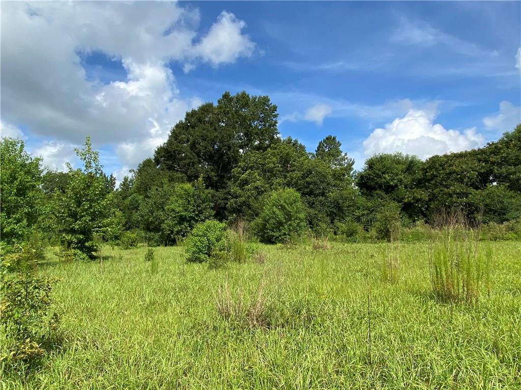 57088 Hilltop Church Road Angie, LA 70426 - Photo 1 of 13 Gallery Image 1