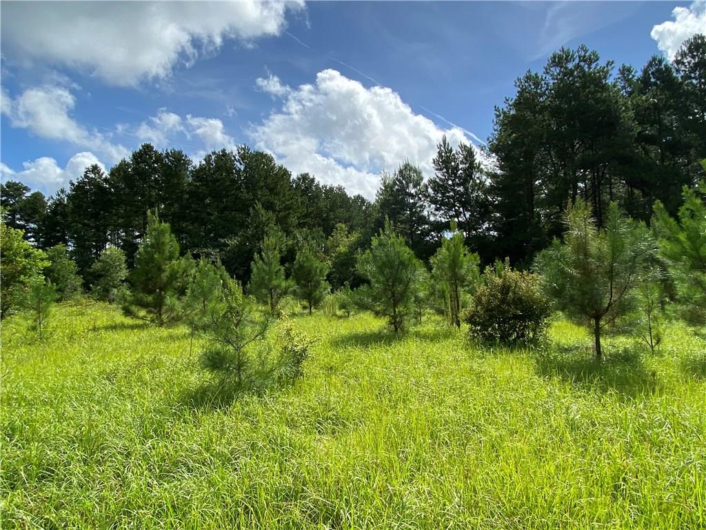57088 Hilltop Church Road Angie, LA 70426 - Photo 2 of 13 Gallery Image 2