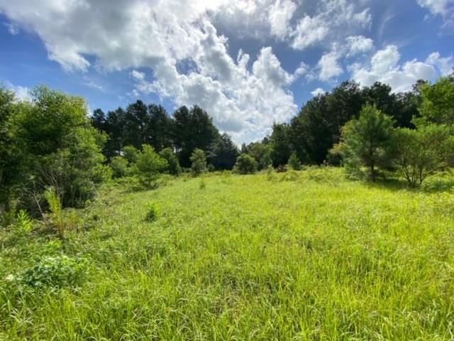 57088 Hilltop Church Road Angie, LA 70426 - Photo 3 of 13 Gallery Image 3