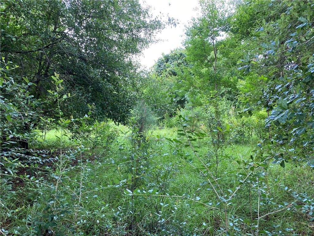 57088 Hilltop Church Road Angie, LA 70426 - Photo 4 of 13 Gallery Image 4