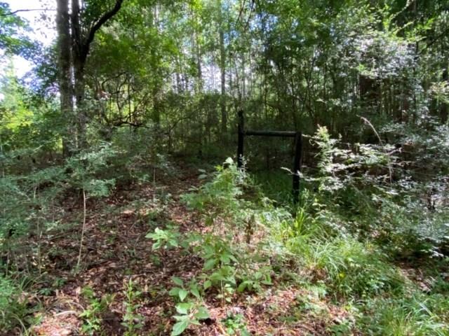 57088 Hilltop Church Road Angie, LA 70426 - Photo 7 of 13 Gallery Image 7