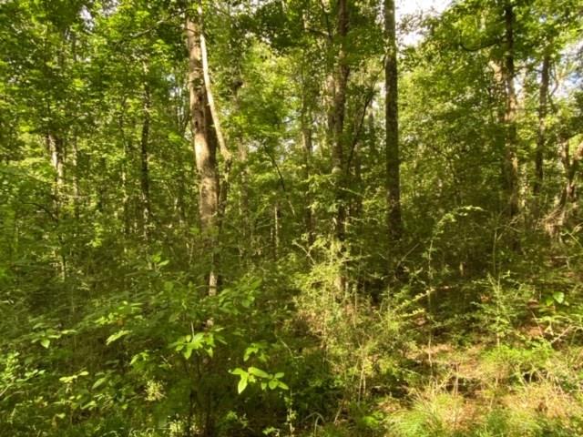 57088 Hilltop Church Road Angie, LA 70426 - Photo 8 of 13 Gallery Image 8