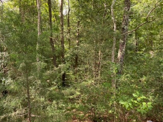 57088 Hilltop Church Road Angie, LA 70426 - Photo 9 of 13 Gallery Image 9