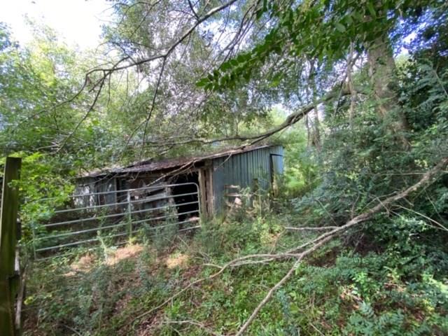 57088 Hilltop Church Road Angie, LA 70426 - Photo 10 of 13 Gallery Image 10
